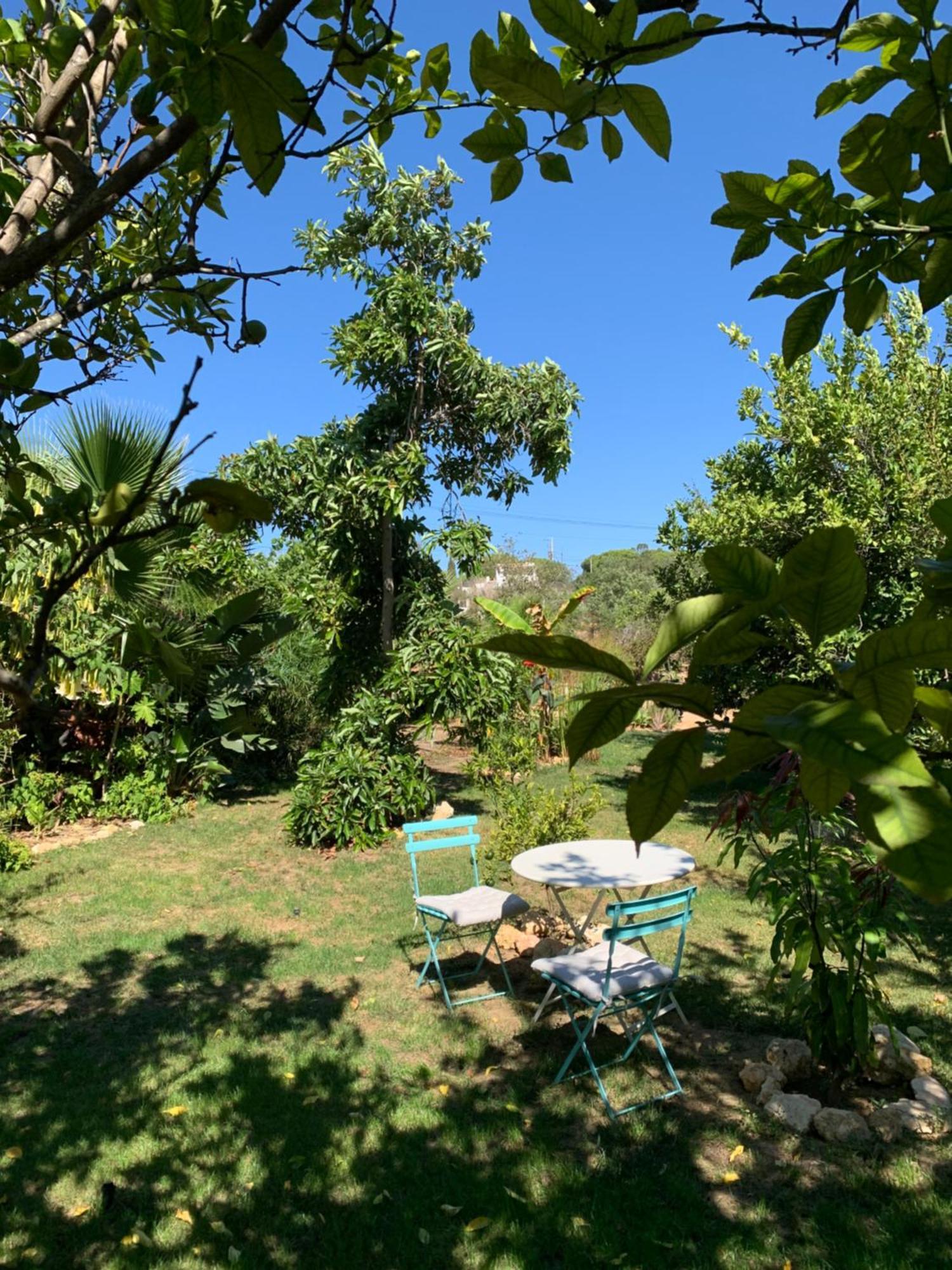 A Tranquil Garden Apartment, Carvoeiro - Benagil Eksteriør billede
